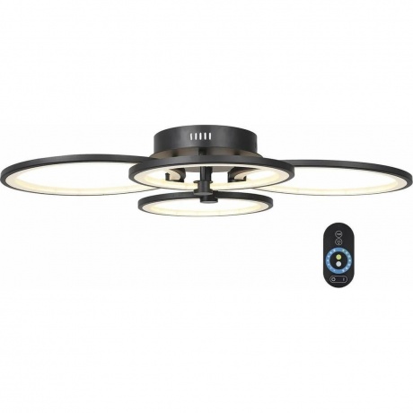 Люстра потолочная ST LUCE SL867.402.04 чёрная