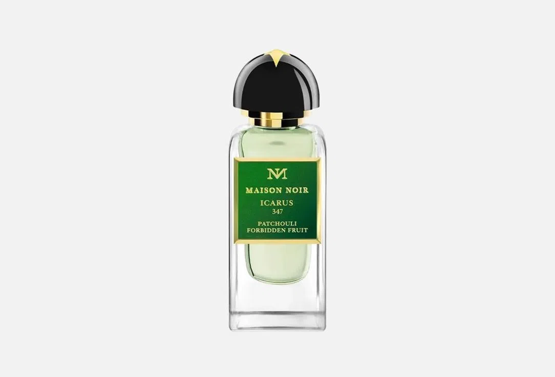 MAISON NOIR Парфюмерная вода Icarus 50мл