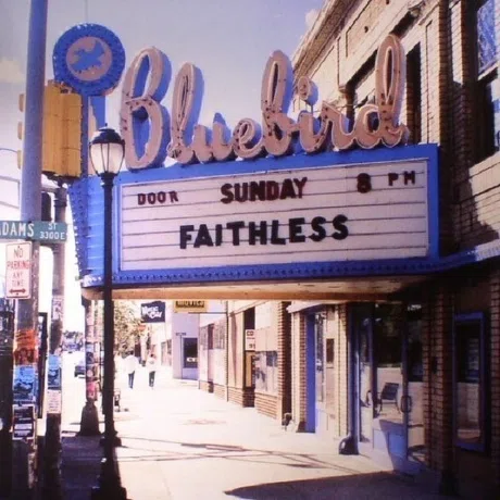 Виниловая пластинка Sony Music Faithless